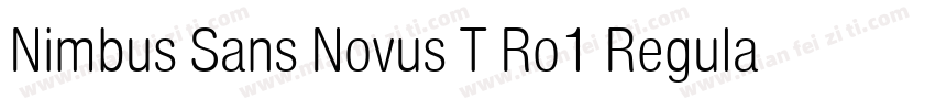 Nimbus Sans Novus T Ro1 Regular Ita字体转换